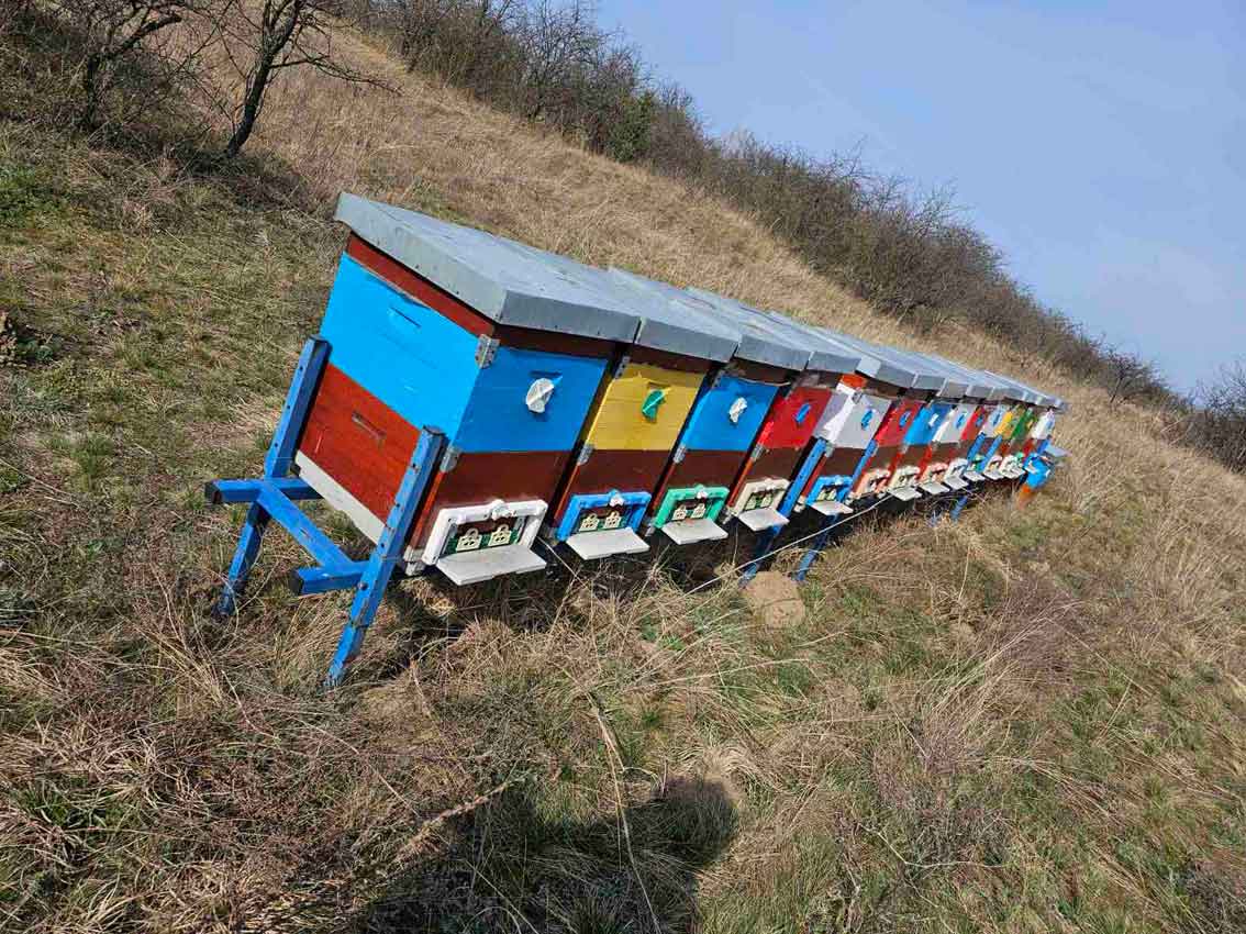 Pčelarstvo Jevremović